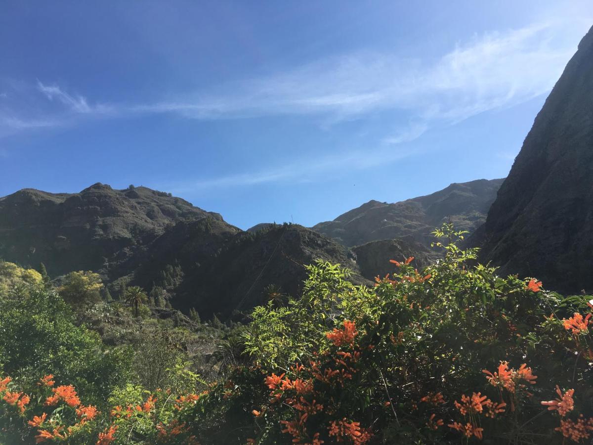 Casa Del Sol Daire GRAN CANARIA Dış mekan fotoğraf